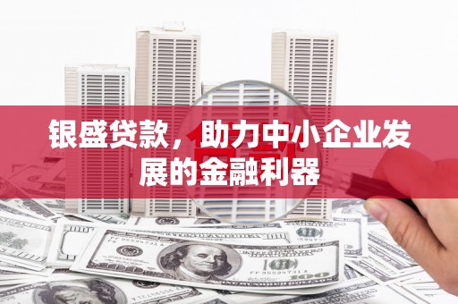 玛曲银盛贷款，助力中小企业发展的金融利器