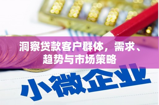 玛曲洞察贷款客户群体，需求、趋势与市场策略