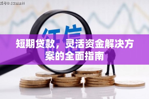 玛曲短期贷款，灵活资金解决方案的全面指南