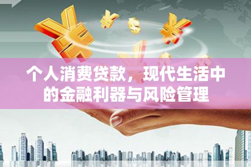 玛曲个人消费贷款，现代生活中的金融利器与风险管理