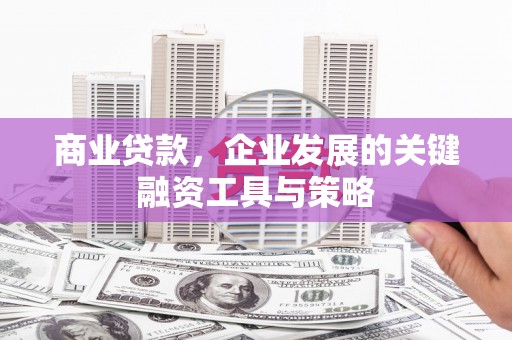 玛曲商业贷款，企业发展的关键融资工具与策略