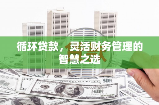 玛曲循环贷款，灵活财务管理的智慧之选