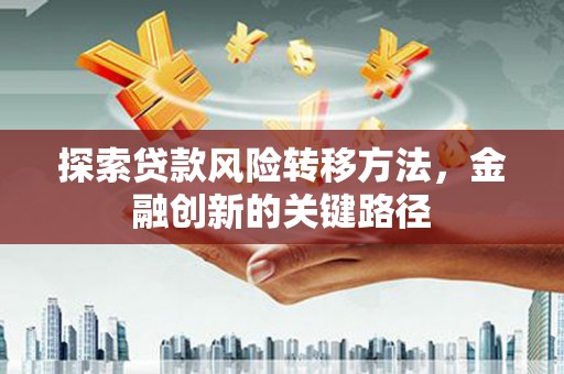 玛曲探索贷款风险转移方法，金融创新的关键路径