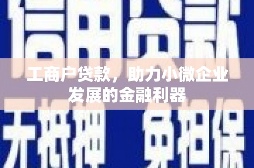玛曲工商户贷款，助力小微企业发展的金融利器