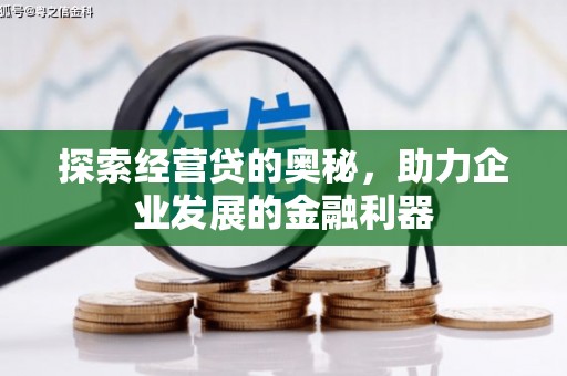 玛曲探索经营贷的奥秘，助力企业发展的金融利器