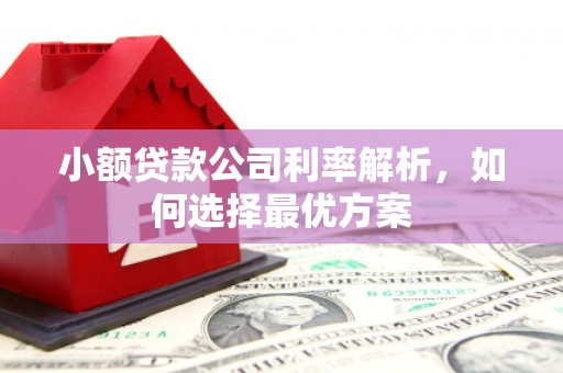 玛曲小额贷款公司利率解析，如何选择最优方案