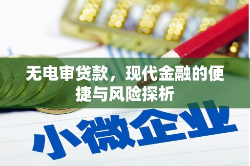 玛曲无电审贷款，现代金融的便捷与风险探析