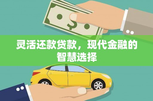 玛曲灵活还款贷款，现代金融的智慧选择