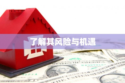 玛曲了解其风险与机遇