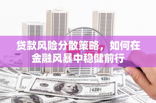 玛曲贷款风险分散策略，如何在金融风暴中稳健前行