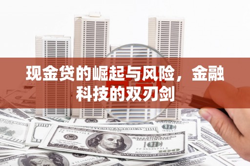 玛曲现金贷的崛起与风险，金融科技的双刃剑