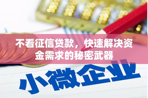 玛曲不看征信贷款，快速解决资金需求的秘密武器