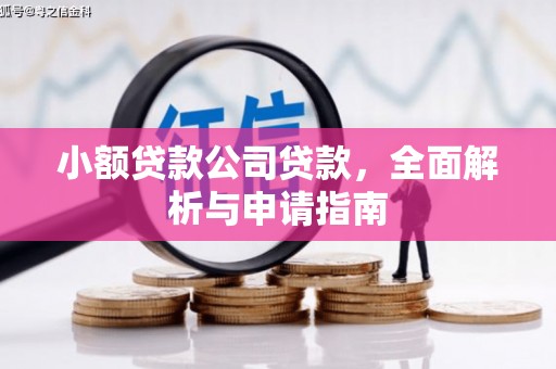 玛曲小额贷款公司贷款，全面解析与申请指南