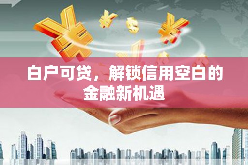 玛曲白户可贷，解锁信用空白的金融新机遇