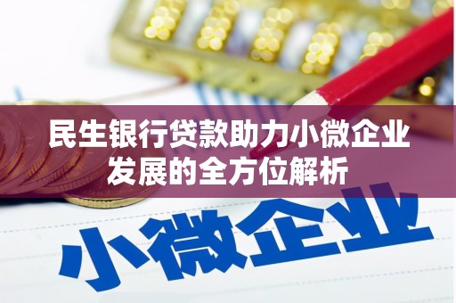 玛曲民生银行贷款助力小微企业发展的全方位解析