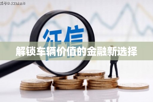玛曲解锁车辆价值的金融新选择