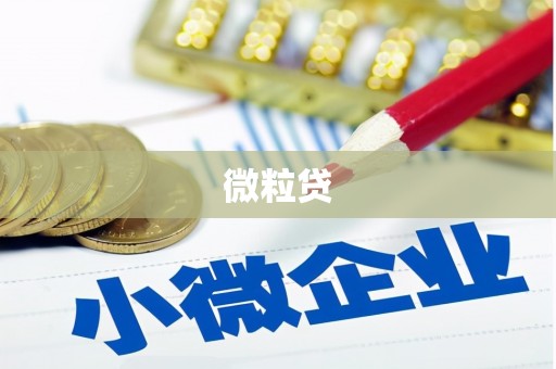 玛曲微粒贷