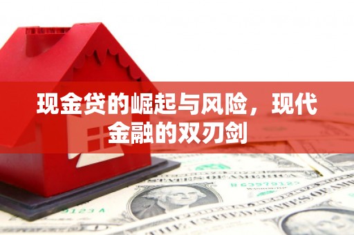 玛曲现金贷的崛起与风险，现代金融的双刃剑