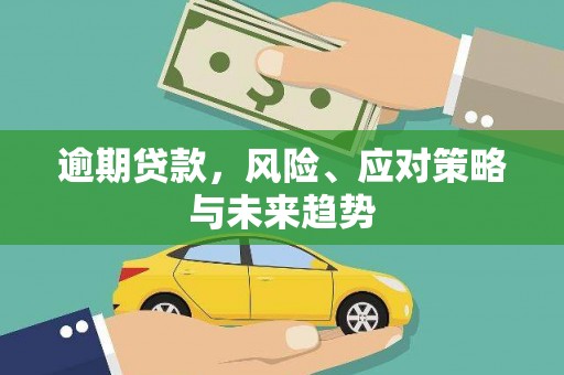 玛曲逾期贷款，风险、应对策略与未来趋势