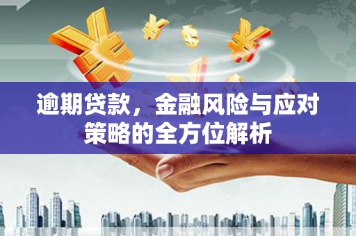 玛曲逾期贷款，金融风险与应对策略的全方位解析