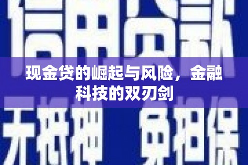 玛曲现金贷的崛起与风险，金融科技的双刃剑