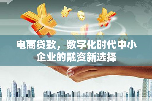 玛曲电商贷款，数字化时代中小企业的融资新选择