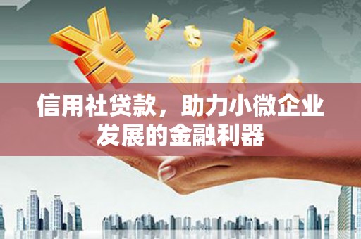 玛曲信用社贷款，助力小微企业发展的金融利器
