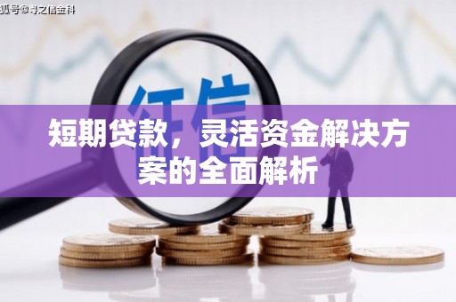 玛曲短期贷款，灵活资金解决方案的全面解析