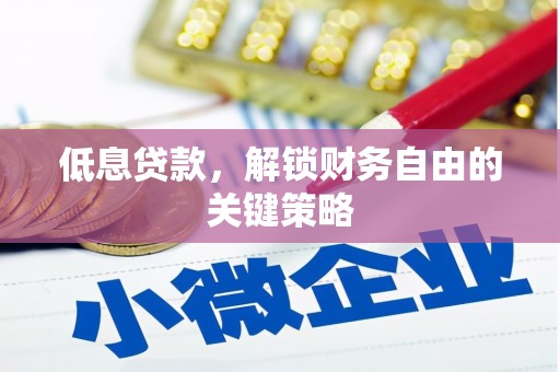玛曲低息贷款，解锁财务自由的关键策略