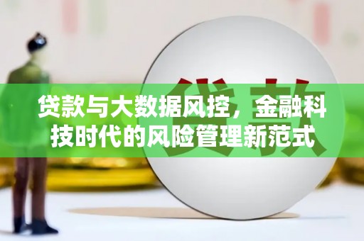 玛曲贷款与大数据风控，金融科技时代的风险管理新范式