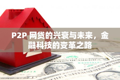 玛曲P2P 网贷的兴衰与未来，金融科技的变革之路