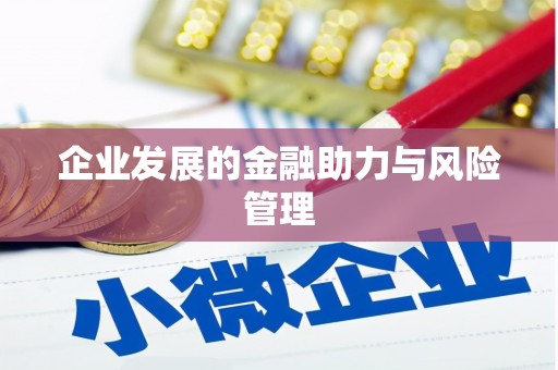 玛曲企业发展的金融助力与风险管理