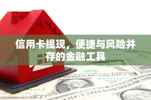 玛曲信用卡提现，便捷与风险并存的金融工具