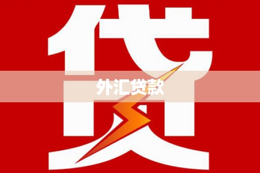 玛曲外汇贷款