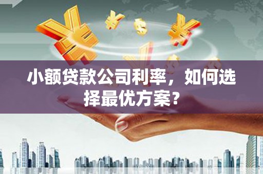玛曲小额贷款公司利率，如何选择最优方案？