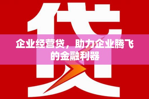 玛曲企业经营贷，助力企业腾飞的金融利器