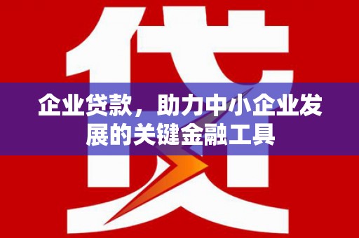 玛曲企业贷款，助力中小企业发展的关键金融工具
