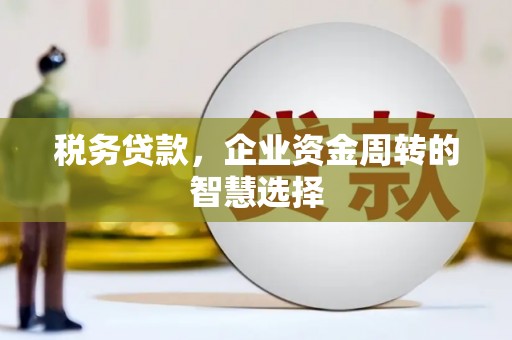 玛曲税务贷款，企业资金周转的智慧选择