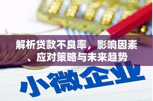 玛曲解析贷款不良率，影响因素、应对策略与未来趋势