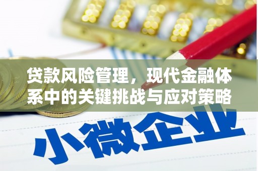 玛曲贷款风险管理，现代金融体系中的关键挑战与应对策略