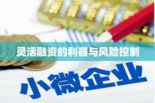 玛曲灵活融资的利器与风险控制