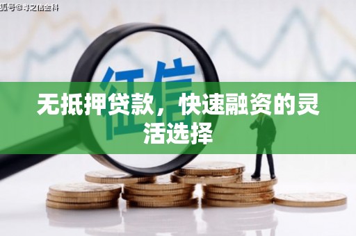 玛曲无抵押贷款，快速融资的灵活选择