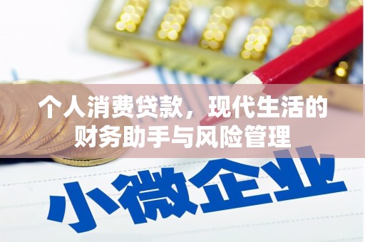 玛曲个人消费贷款，现代生活的财务助手与风险管理