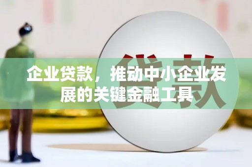 玛曲企业贷款，推动中小企业发展的关键金融工具