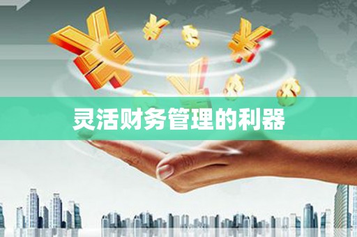 玛曲灵活财务管理的利器