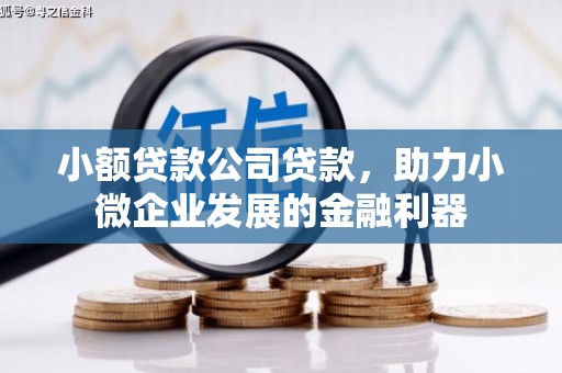 玛曲小额贷款公司贷款，助力小微企业发展的金融利器