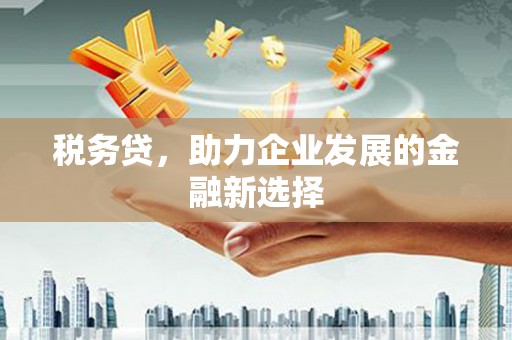 玛曲税务贷，助力企业发展的金融新选择