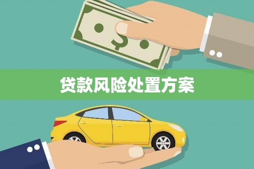 玛曲贷款风险处置方案