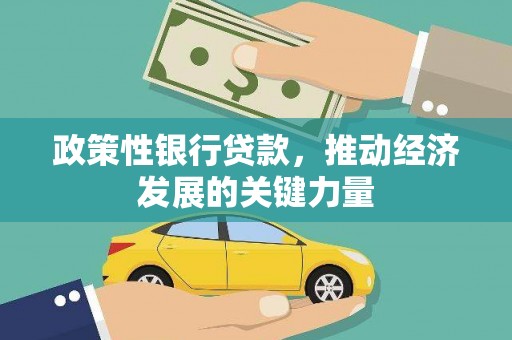 玛曲政策性银行贷款，推动经济发展的关键力量
