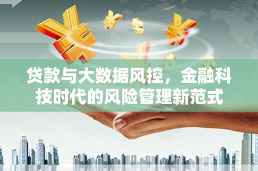 玛曲贷款与大数据风控，金融科技时代的风险管理新范式